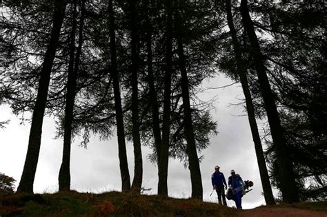 McIlroy fuzzy on Ryder Cup topless kilt photo 